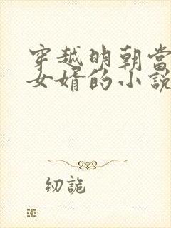 穿越明朝当朱棣女婿的小说