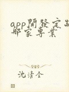 app开发定制哪家专业