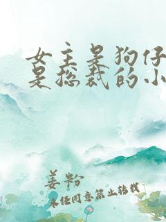 女主是狗仔男主是总裁的小说