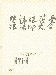 双性浪荡受高h浪荡np文合集