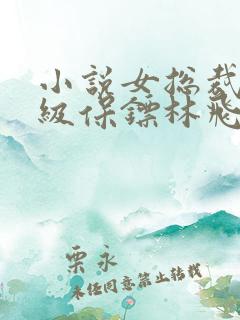 小说女总裁的神级保镖林飞