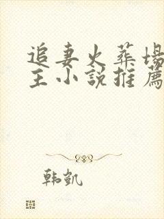 追妻火葬场双男主小说推荐