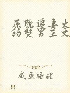 原耽追妻火葬场的双男主文推荐