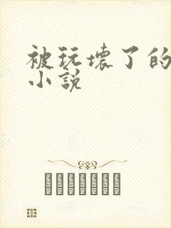 被玩坏了的丈夫小说