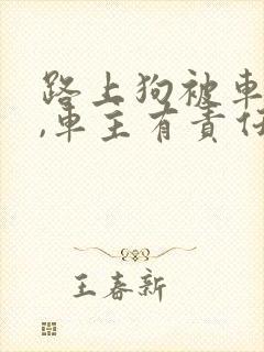 路上狗被车撞死,车主有责任吗