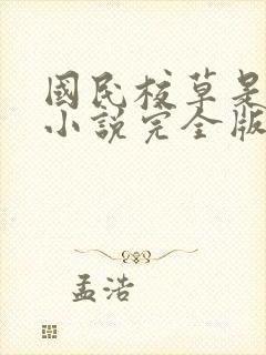 国民校草是女生小说完全版