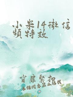 小米14微信视频特效