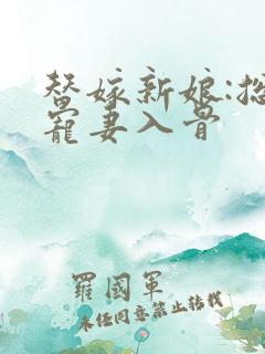 替嫁新娘:总裁宠妻入骨