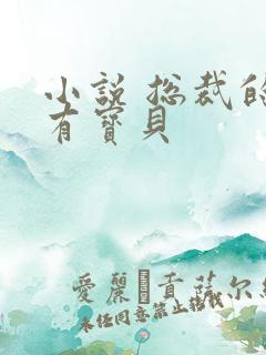 小说 总裁的私有宝贝