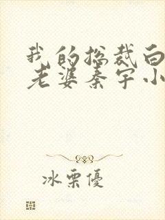 我的总裁白富美老婆秦宇小说全集完整版