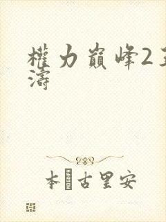 权力巅峰2王洪涛