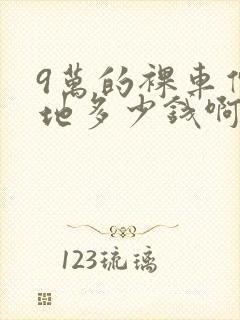 9万的裸车价落地多少钱啊