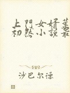 上门女婿叶辰萧初然小说最新章节