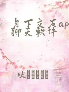 月下交友app聊天软件