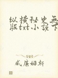 纵横秘史无删减版txt小说下载