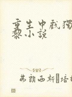 重生中戏独宠曾黎小说