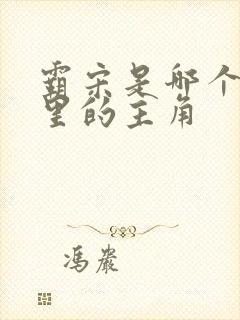 霸宋是哪个小说里的主角