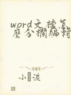 word文档怎么分栏编辑
