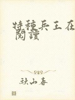 特种兵王在山村 阅读