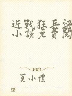 近战狂兵梁七少小说免费阅读