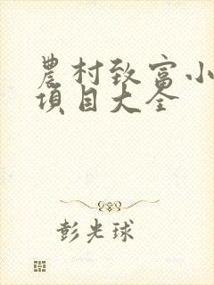 农村致富小创业项目大全