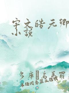 宇文皓元卿凌的小说