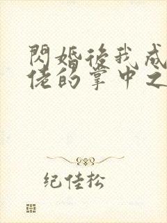 闪婚后我成了大佬的掌中之物大结局完整版