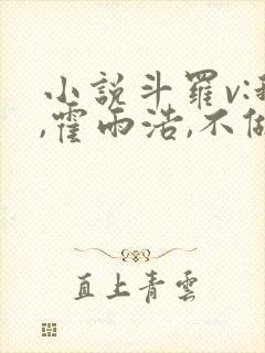 小说斗罗v:我,霍雨浩,不做小丑