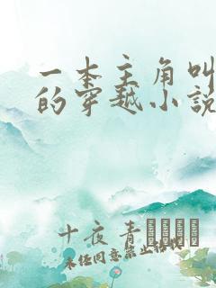 一本主角叫沈清的穿越小说