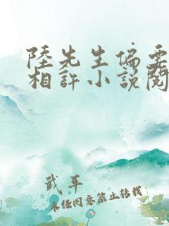 陆先生偏要以婚相许小说阅读