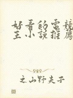 好看的电竞双男主小说推荐