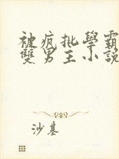 被疯批学霸囚禁双男主小说完结了吗