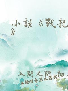 小说《战龙无双》