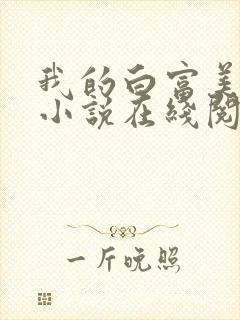 我的白富美老婆小说在线阅读