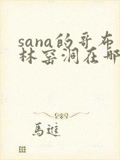 sana的哥布林窑洞在哪看