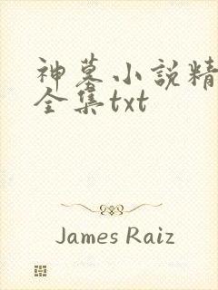 神墓小说精校版全集txt