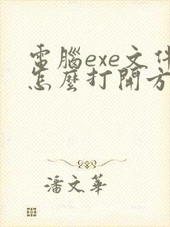 电脑exe文件怎么打开方式