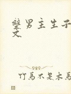 双男主生子高干文