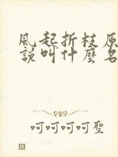 风起折枝原著小说叫什么名字
