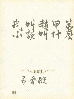 我叫赵甲第原著小说叫什么名字