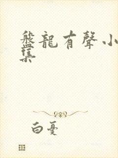 盘龙有声小说全集