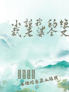 小说我的绝美总裁老婆全文阅读