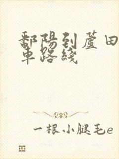 鄱阳到芦田公交车路线