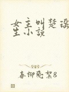 女主叫楚瑶的重生小说