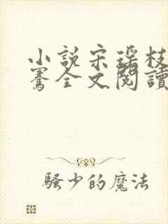 小说宋瑶枝萧子骞全文阅读免费