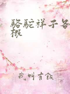 骆驼祥子各章梗概