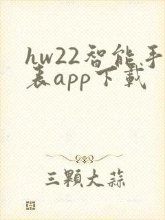 hw22智能手表app下载