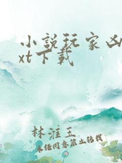 小说玩家凶猛txt下载