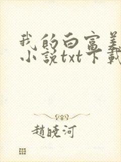 我的白富美老婆小说txt下载