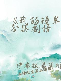 《我的后半生》分集剧情